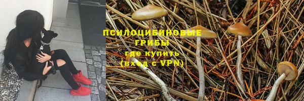 гидра Алексин