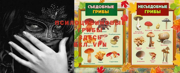героин Алзамай