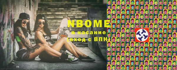 тгк Пересвет